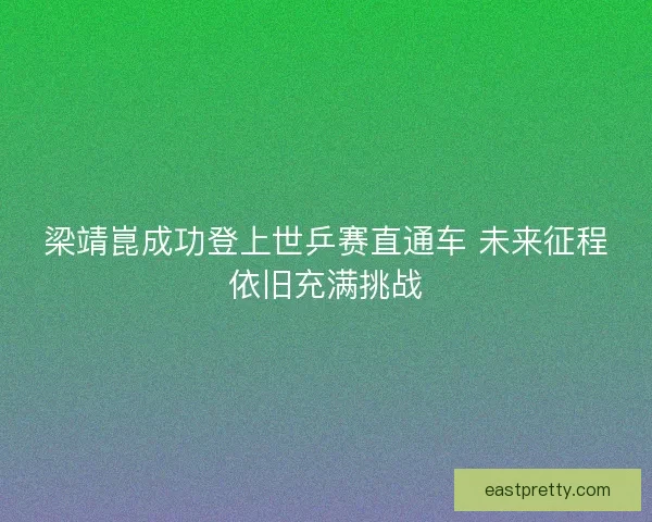 梁靖崑成功登上世乒赛直通车 未来征程依旧充满挑战